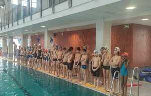 Stage natation jeunes